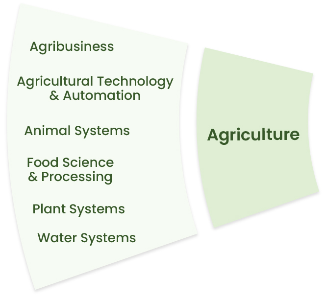 Agriculture: Agribusiness, Agricultural Technology & Automation, Animal Systems, Food Science & Processing, Plant Systems, Water Systems